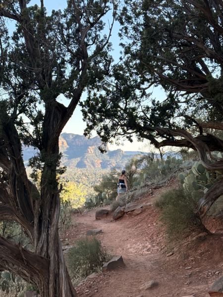 Aligned Founders retreat in Sedona