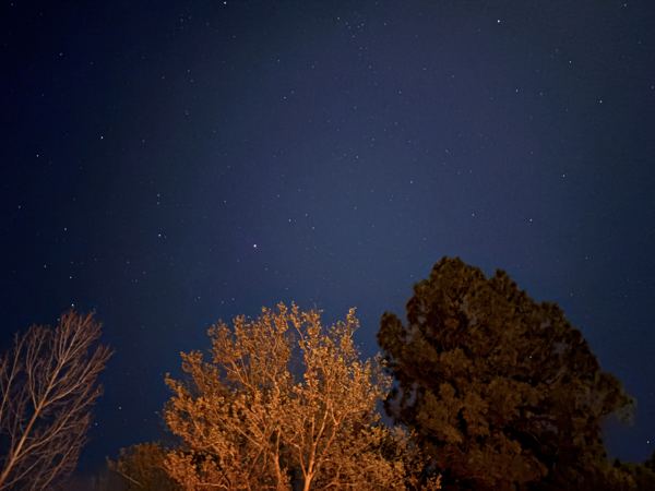 Aligned Founders retreat in Sedona